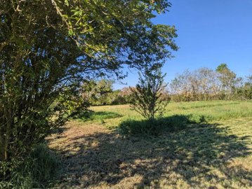 9d540651051a0a0abcc716aa5ad52c72566a2dd573204