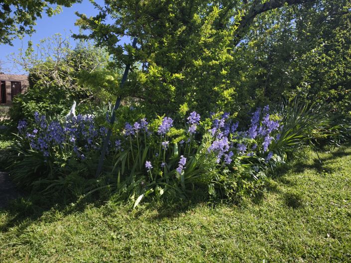 Image No.14-4 Bed House for sale