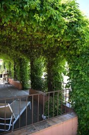 2ffe0c5c6696c869cd25209ad5a99e782abec08d1a160