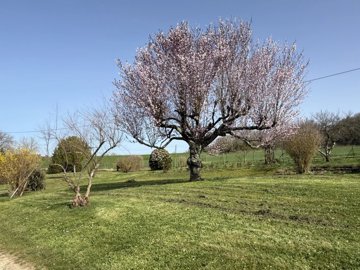 8c4df62915087df1cc81f3873e415072f7e75e70fd403