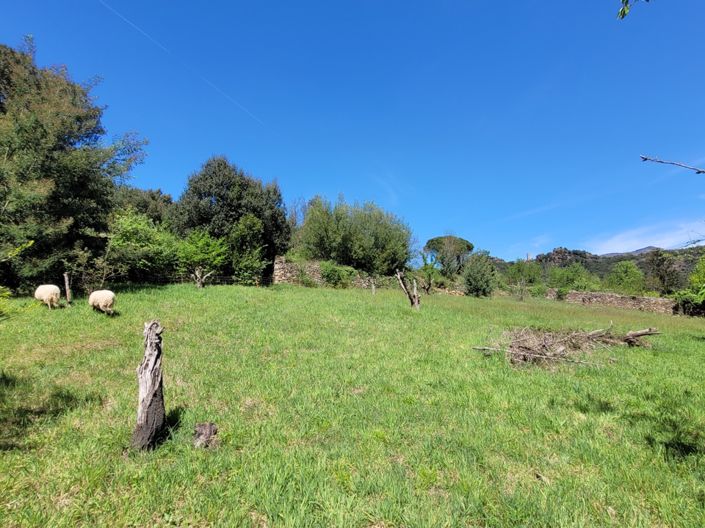 Image No.7-House for sale