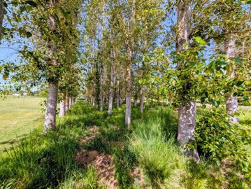 13c5d341e83e7855889dce9470e5b1df7c942ba1cf408