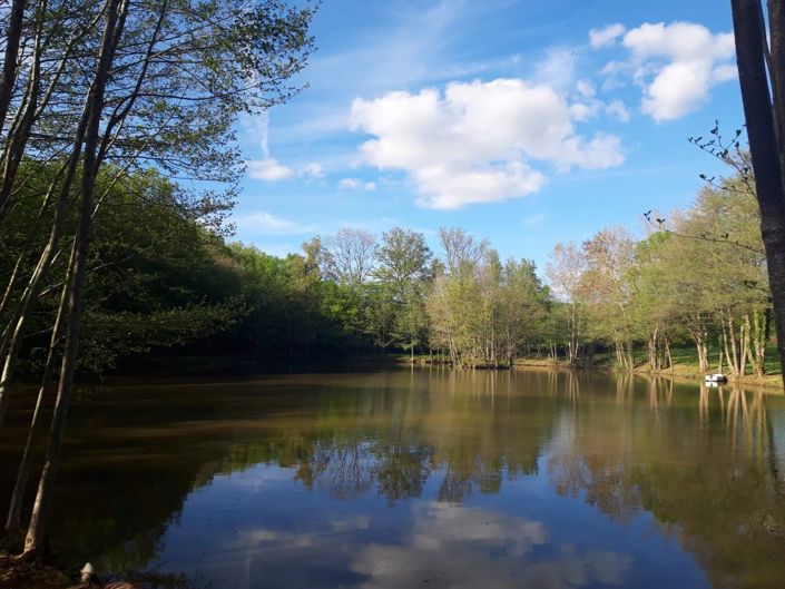 Image No.10-House for sale