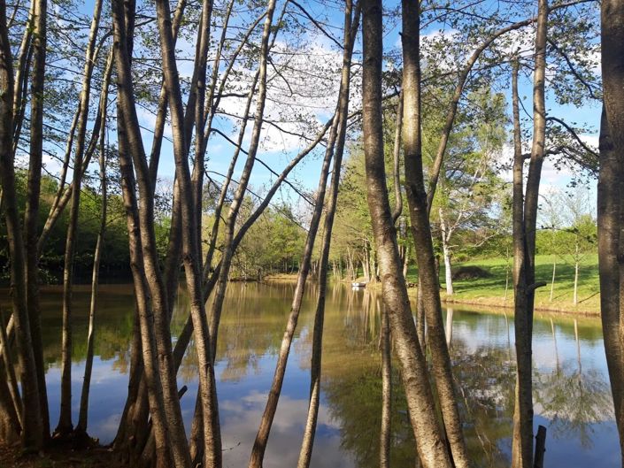 Image No.12-House for sale