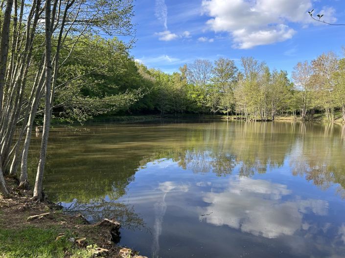 Image No.2-House for sale