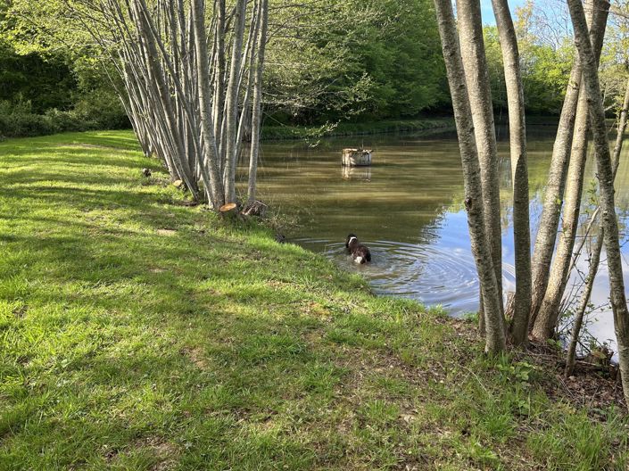 Image No.3-House for sale