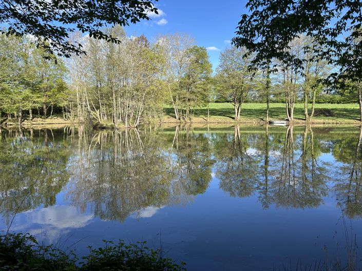 Image No.6-House for sale