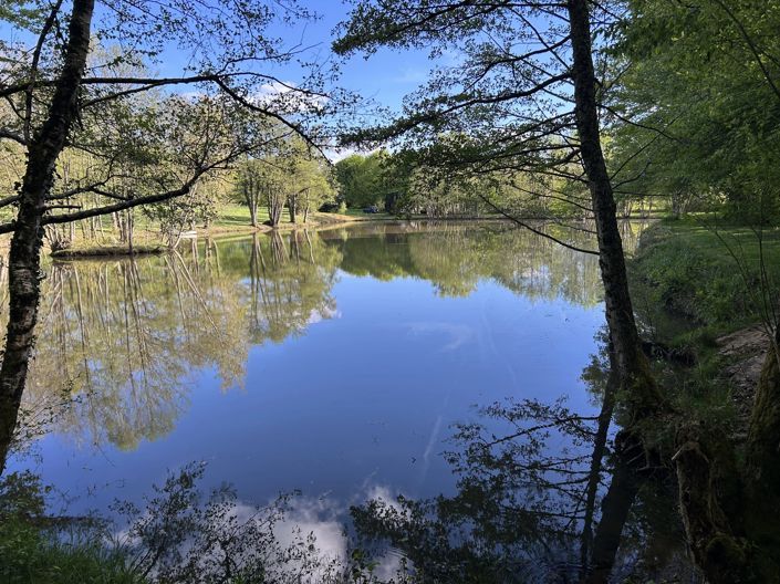 Image No.7-House for sale