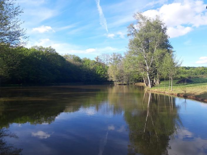 Image No.9-House for sale