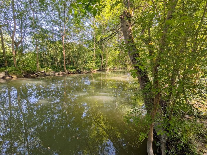 Image No.6-Maison de 5 chambres à vendre à Jonzac