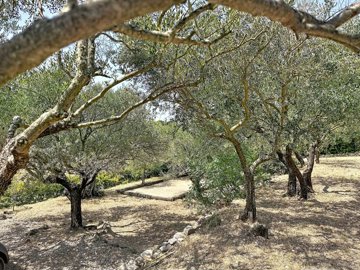 d1bde31d59fdc6e5b0ef62dfe4b3ad225db522e7f5334