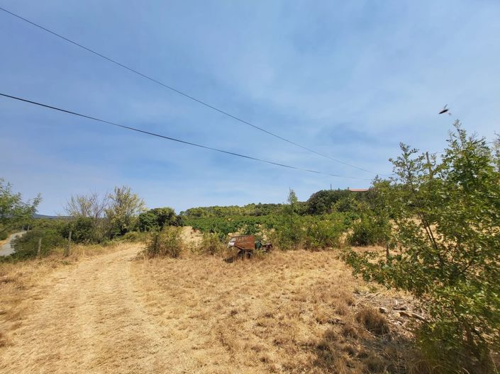 Image No.4-Propriété à vendre à Bize-Minervois