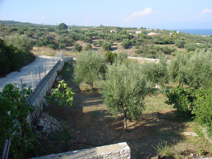 Image No.25-2 Bed House for sale