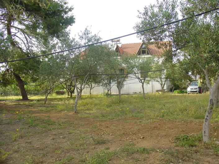 Image No.3-5 Bed Villa for sale