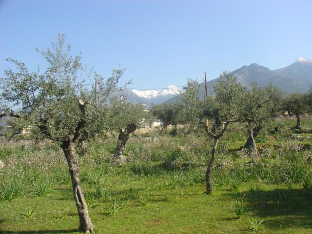 Image No.2-Maison de 3 chambres à vendre à Messinia