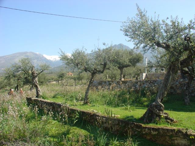 Image No.17-Maison de 3 chambres à vendre à Messinia
