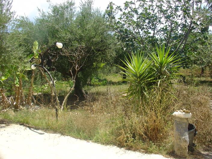 Image No.7-Bungalow de 2 chambres à vendre à Messinia
