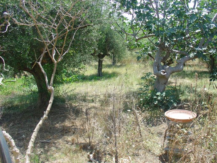 Image No.8-Bungalow de 2 chambres à vendre à Messinia