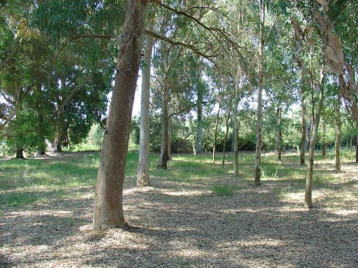 Image No.5-Maison de 3 chambres à vendre à Messinia