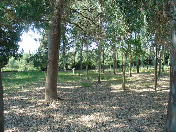 Image No.7-Maison de 3 chambres à vendre à Messinia