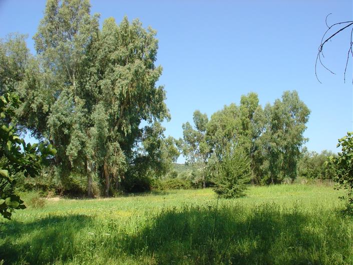Image No.8-Maison de 3 chambres à vendre à Messinia