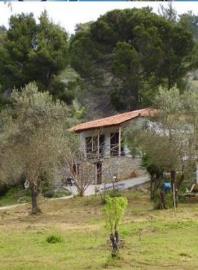 Real-Estate-605--11-