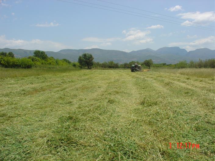 Image No.2-Chalet de 2 chambres à vendre à Meligalas