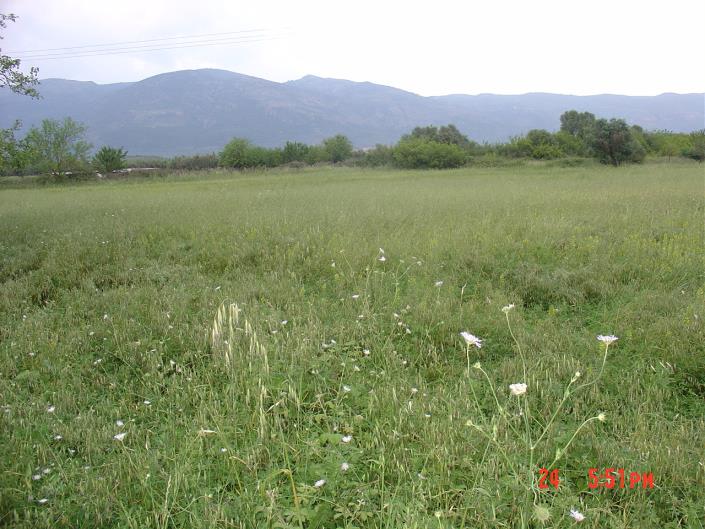 Image No.4-Chalet de 2 chambres à vendre à Meligalas