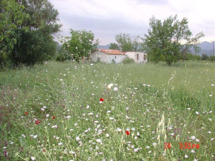 Image No.6-Chalet de 2 chambres à vendre à Meligalas
