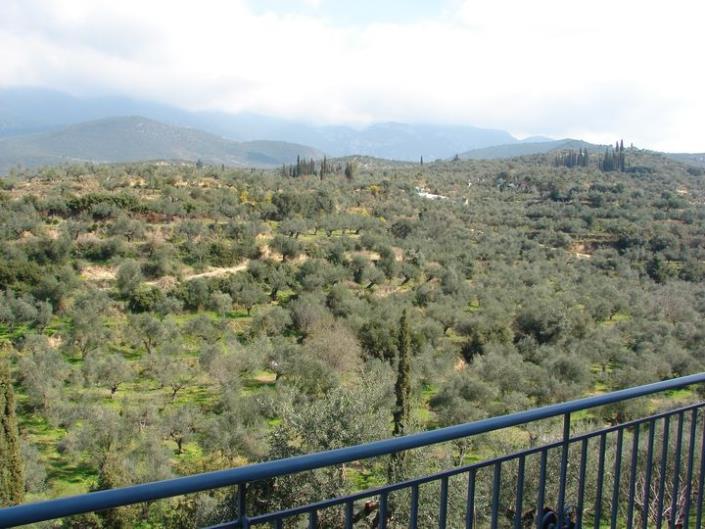 Image No.7-4 Bed House for sale