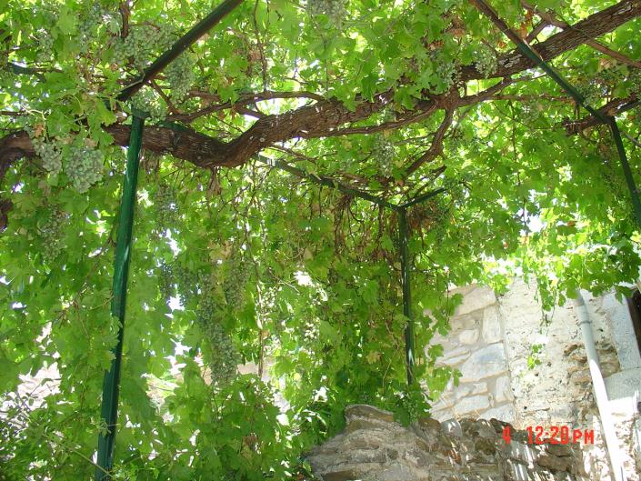 Image No.7-Villa / Détaché de 2 chambres à vendre à Stoupa