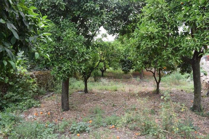 Image No.16-1 Bed Property for sale