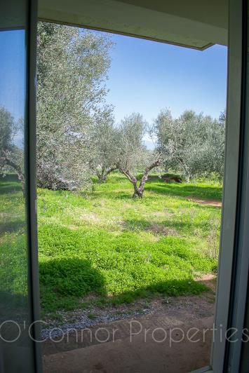 Image No.13-Maison de 2 chambres à vendre à Messinia