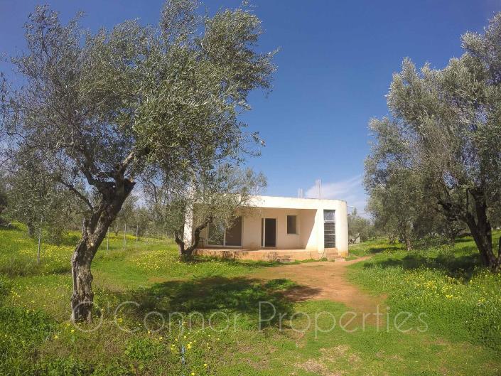 Image No.18-Maison de 2 chambres à vendre à Messinia