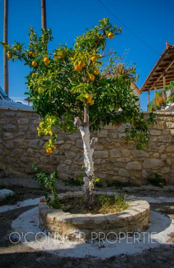 Image No.24-1 Bed Cottage for sale