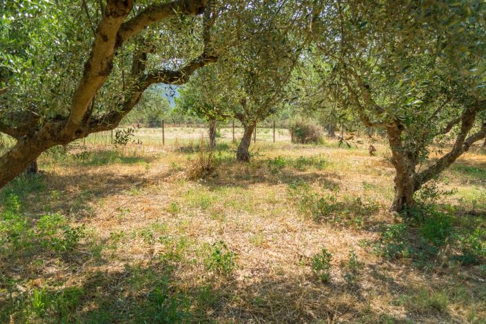 Image No.8-Bungalow de 1 chambre à vendre à Kalamata