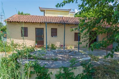 Cute-1-bed-bungalow-cottage-on-approx--1900-sq-m--plot--only-20-min-from-Kalamata--Bargain-----898---8-