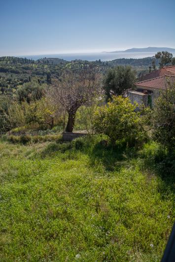 Image No.8-3 Bed House for sale