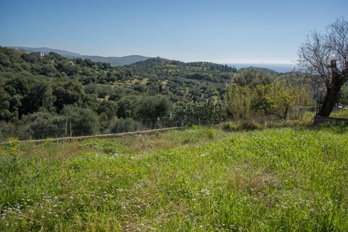 Image No.13-3 Bed House for sale