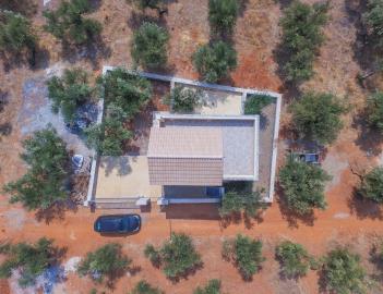 DJI_0047