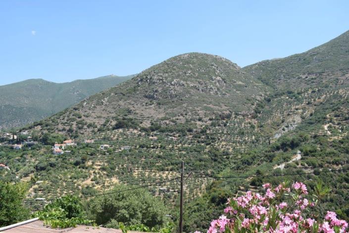 Image No.15-Maison de village à vendre à Kalamata