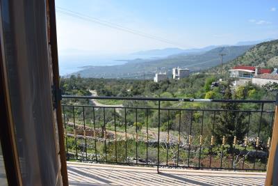 Real-Estate-915--27-