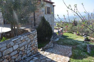 Real-Estate-915--29-