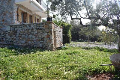 Real-Estate-915--53-