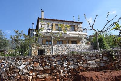 Real-Estate-915--76-