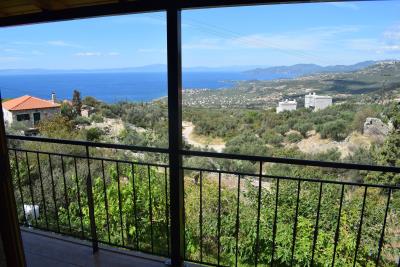 Real-Estate-915--31-