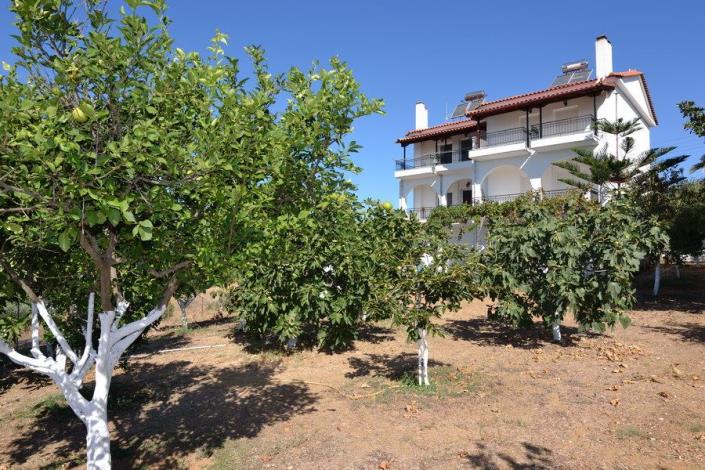 Image No.12-Maison de 6 chambres à vendre à Koroni
