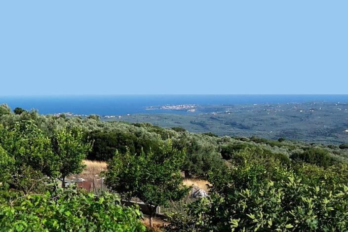 Image No.29-Maison de 6 chambres à vendre à Koroni