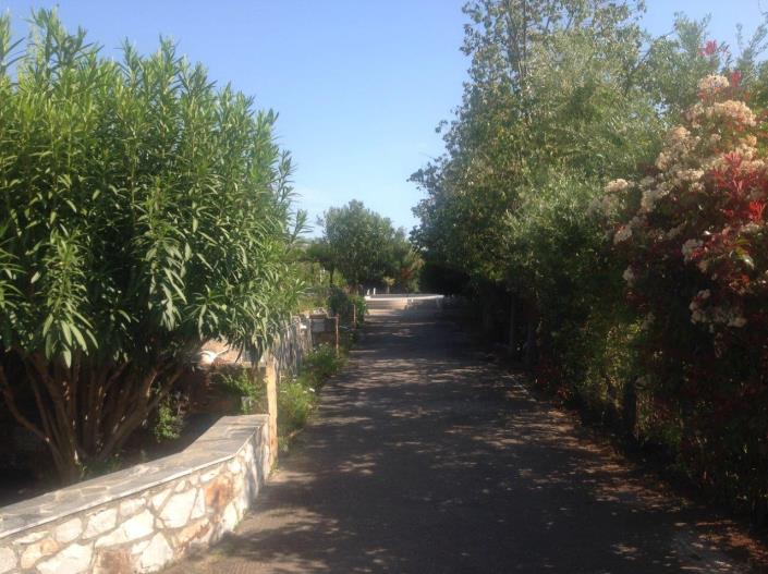 Image No.7-Un hôtel de 6 chambres à vendre à Stoupa