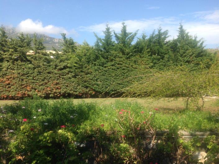 Image No.9-Un hôtel de 6 chambres à vendre à Stoupa